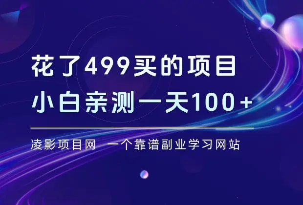 花了499元买来的项目，纯手机操作，亲测一天挣了100+_云峰项目库