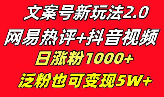 文案号新玩法 网易热评+抖音文案 一天涨粉1000+ 多种变现模式 泛粉也可变现_云峰项目库