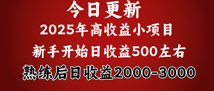 好项目一眼就能看出来，日收益1000，长久可做，2025拼的就是我比你勤奋_云峰项目库