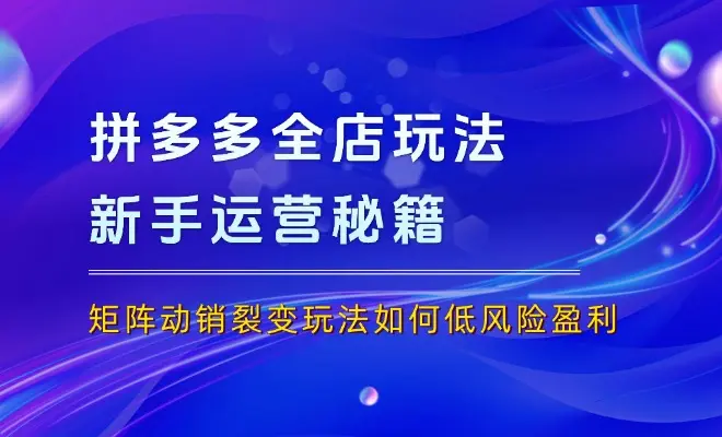 25年拼多多全店托管玩法，矩阵动销裂变玩法如何低风险盈利 新手运营秘籍_云峰项目库