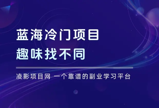 蓝海冷门项目，趣味找不同，一单利润29.8，几乎零成本，一部手机就能变现_云峰项目库