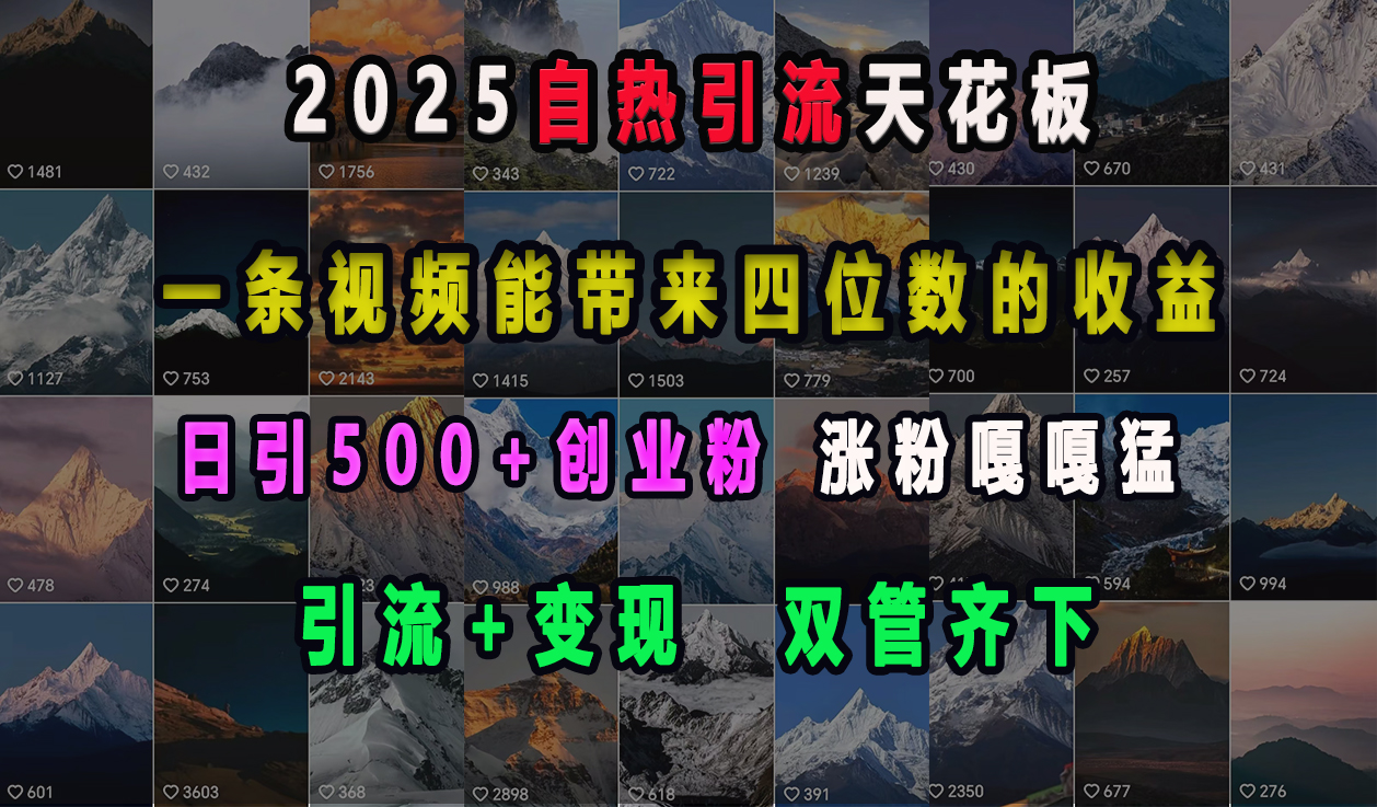 2025自热引流天花板，一条视频能带来四位数的收益，引流+变现双管齐下，日引500+创业粉，涨粉嘎嘎猛_云峰项目库