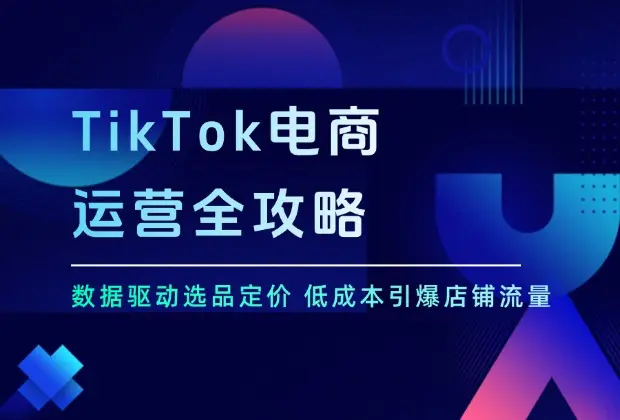 TikTok电商运营全攻略，数据驱动选品定价，低成本引爆店铺流量_云峰项目库