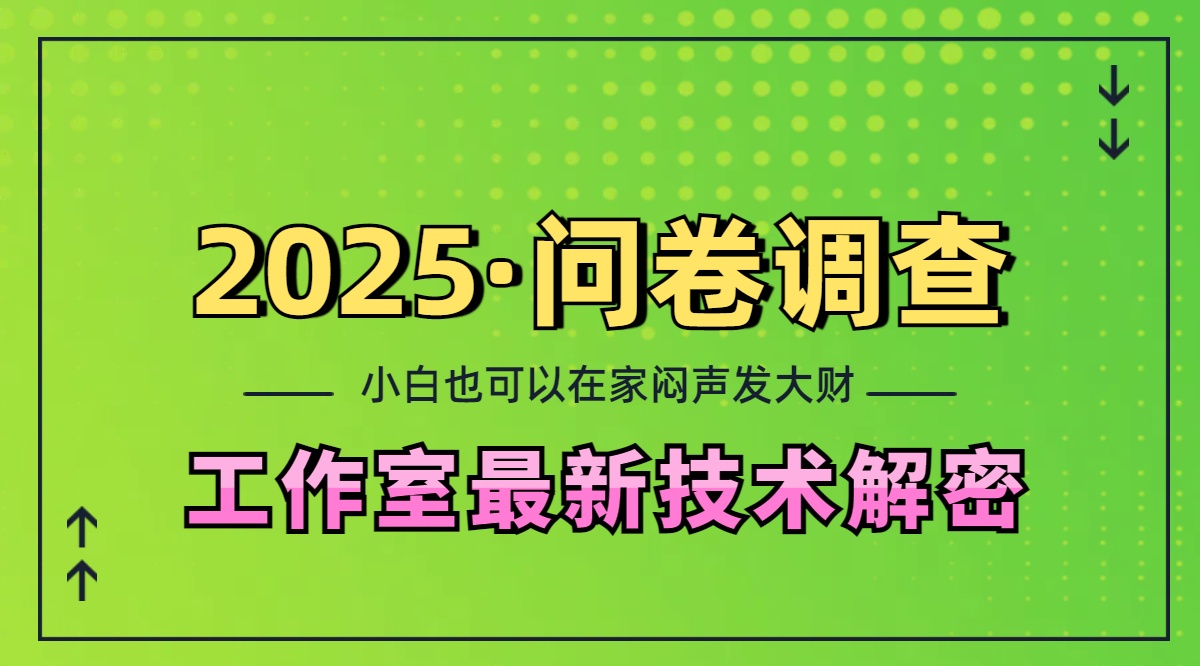 2025《问卷调查》最新工作室技术解密：一个人在家也可以闷声发大财，小白一天200+，可矩阵放大_云峰项目库