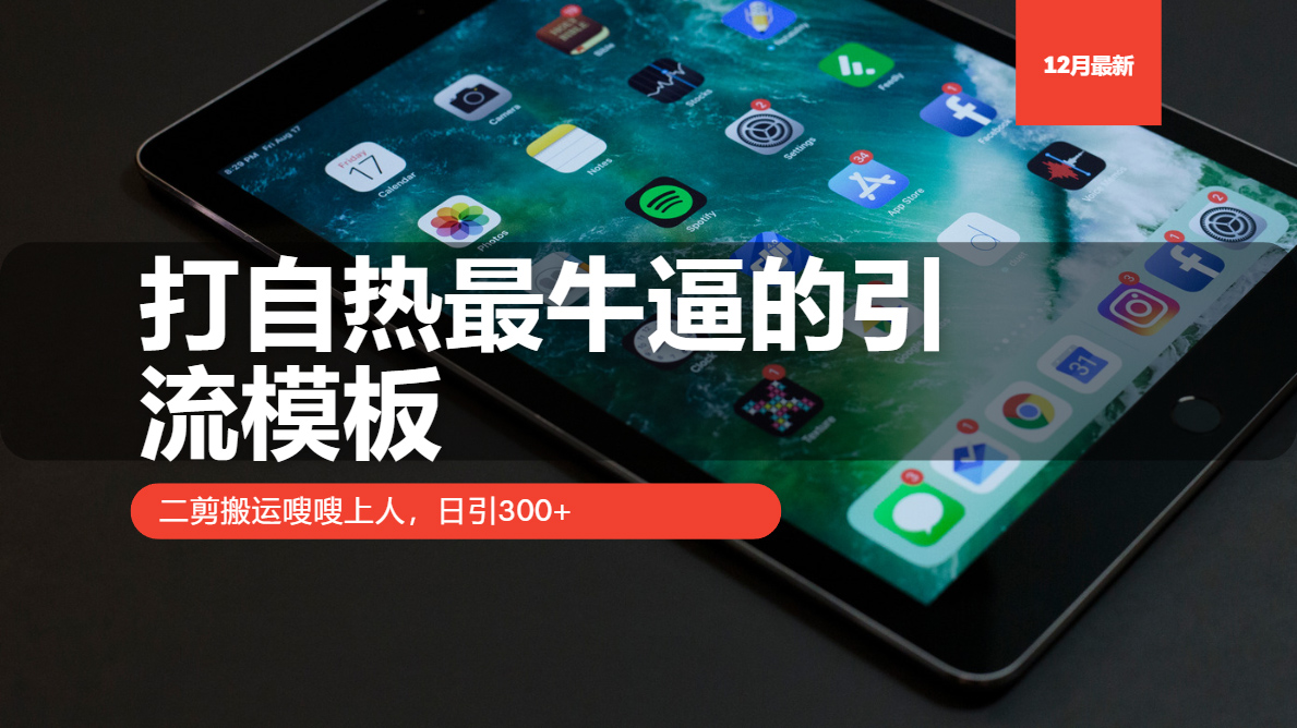 打自热最牛逼的引流模板，日引300+，二剪搬运嗖嗖上人_云峰项目库