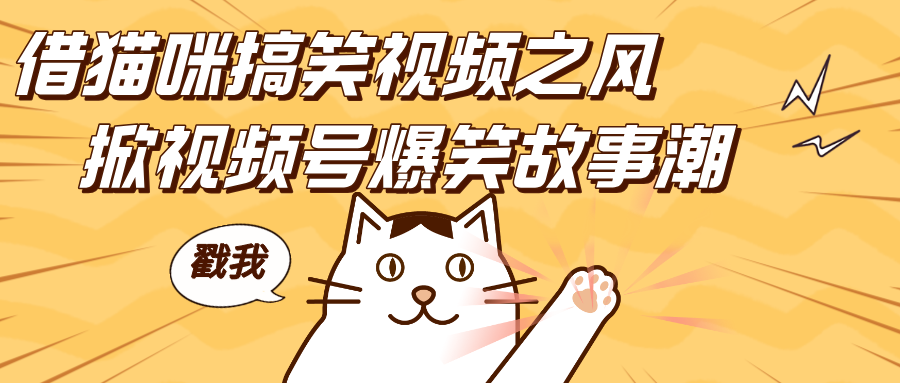 借猫咪搞笑视频之风，掀视频号爆笑故事潮，轻松日赚四位数，开启无门槛赚钱新体验！_云峰项目库