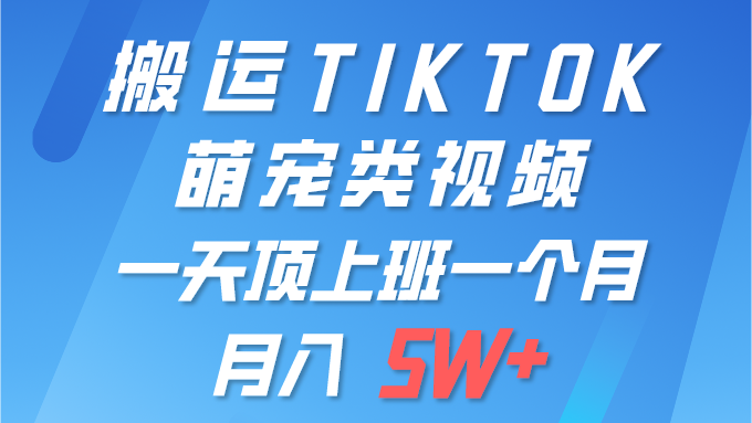 一键搬运TIKTOK萌宠类视频 一部手机即可操作 所有平台均可发布_云峰项目库