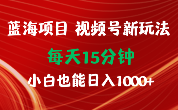蓝海项目视频号新玩法 每天15分钟 小白也能日入1000+_云峰项目库
