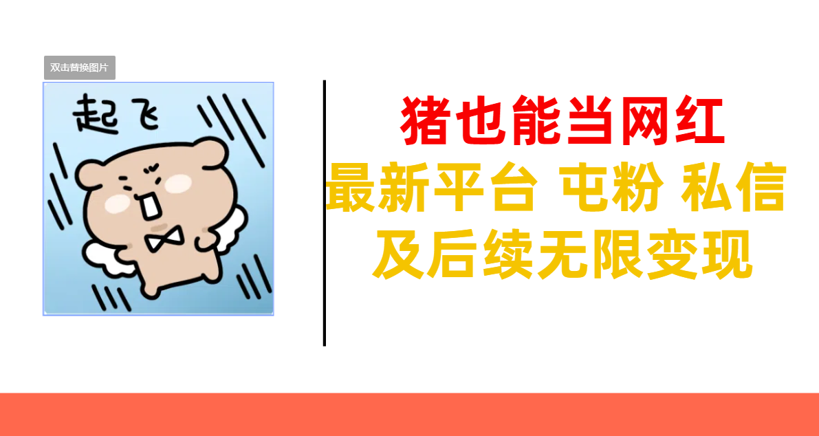 猪也能当网红-最新平台 屯粉 交流 私信 及后续无限变现_云峰项目库