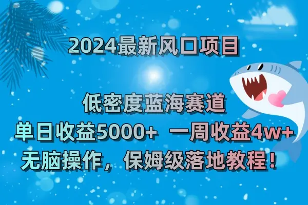 2024最新风口项目 低密度蓝海赛道，日收益5000+周收益4w+_云峰项目库