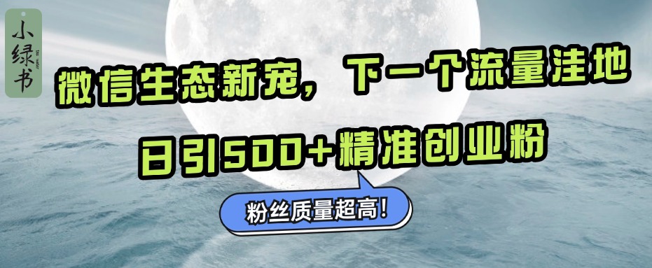 微信生态新宠小绿书：下一个流量洼地，粉丝质量超高，日引500+精准创业粉，_云峰项目库