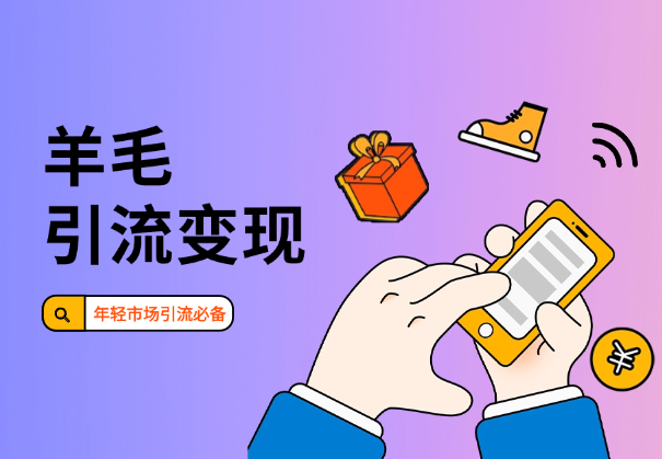 羊毛信息引流变现全玩法，年轻市场引流必备_云峰项目库