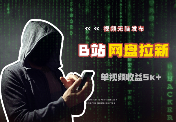 视频无脑发布B站做网盘拉新，单视频最高收益5k+_云峰项目库