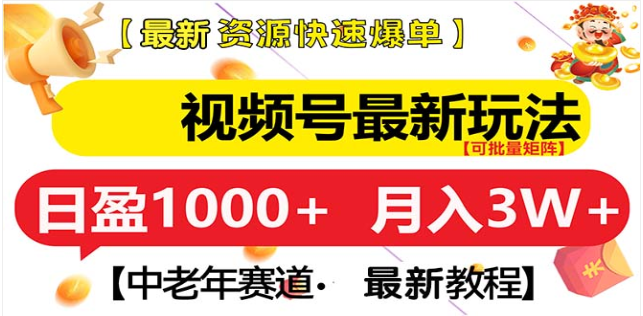 视频号独家玩法，老年养生赛道，无脑搬运爆款视频，日入1000+_云峰项目库