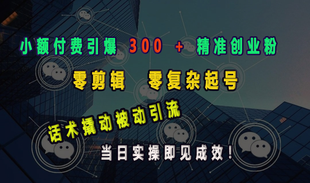 小额付费引爆 300 + 精准创业粉，零剪辑、零复杂起号，话术撬动被动引流，当日实操即见成效！_云峰项目库