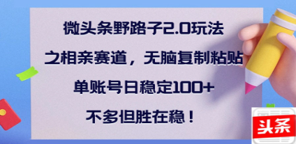全网首发微头条野路子2.0玩法之相亲赛道，无脑搬砖复制粘贴，单账号日稳定300+保姆级教程_云峰项目库