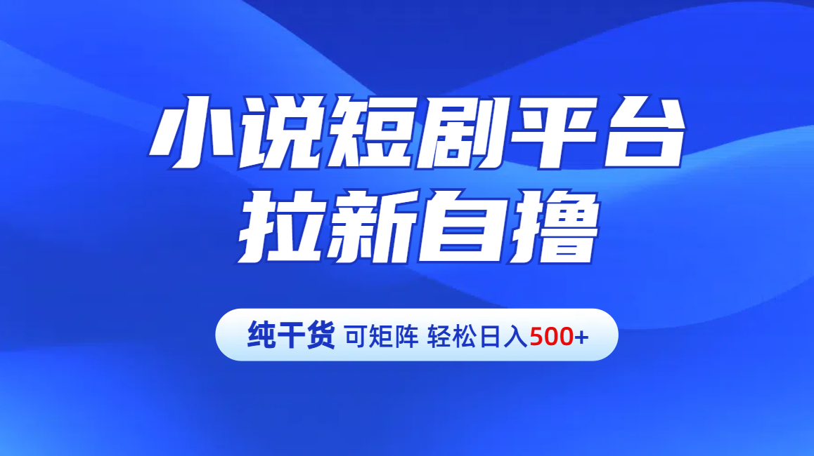 【纯干货】小说短剧平台拉新自撸玩法详解-单人轻松日入500+_云峰项目库
