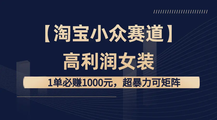 淘宝小众赛道高利润女装：1单必赚1000元，超暴力可矩阵_云峰项目库