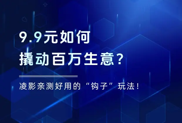 9.9元如何撬动百万生意？峰哥的“钩子”玩法大揭秘！_云峰项目库