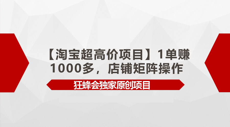【淘宝超高价项目】1单赚1000多，店铺矩阵操作_云峰项目库