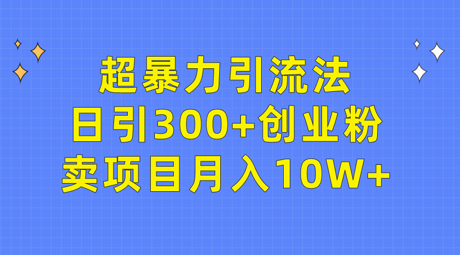超暴力引流法，日引300+创业粉，卖项目月入10W+_云峰项目库