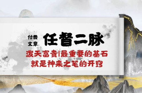 某付费文章《任督 二脉 泼天富贵|最重要的基石 就是神来之笔的开窍|万字》_云峰项目库