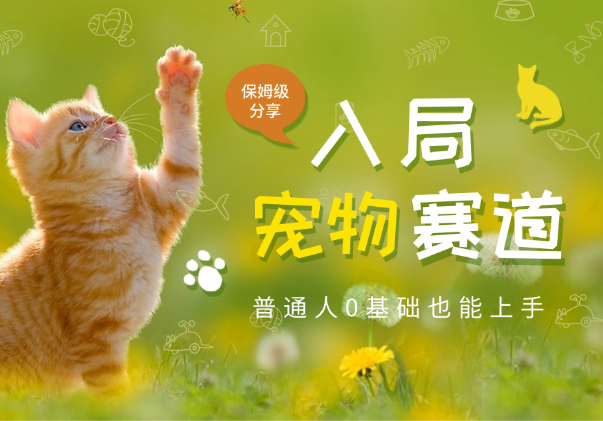 普通人入局宠物赛道，0基础也能上手的保姆级分享_云峰项目库