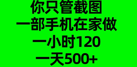你只管截图，一部手机在家做，一小时120，一天500+_云峰项目库