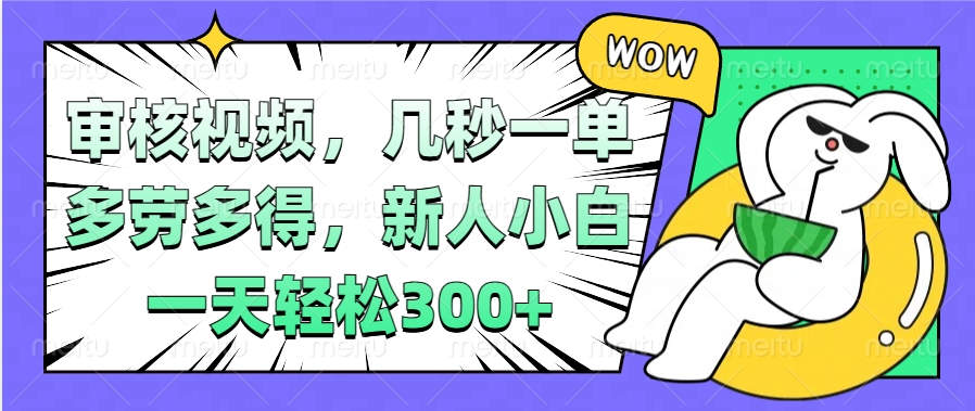 视频审核项目，几秒一单，多劳多得，新人小白一天轻松300+_云峰项目库