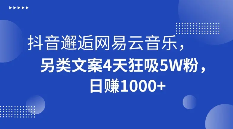 抖音邂逅网易云音乐，另类文案4天狂吸5W粉，日赚1000+_云峰项目库