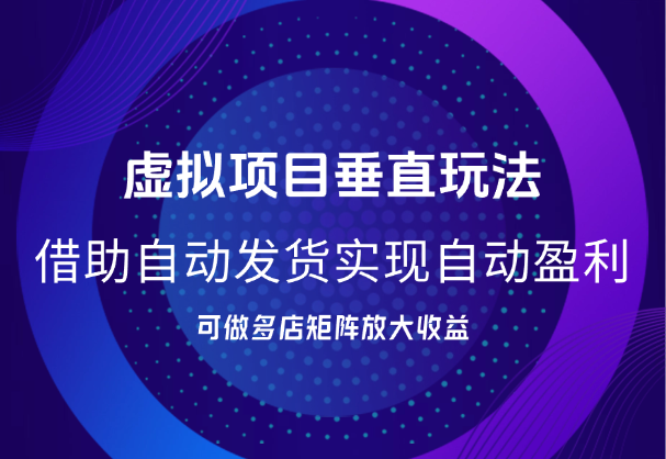 虚拟项目垂直玩法，借助自动发货软件，实现自动盈利_云峰项目库