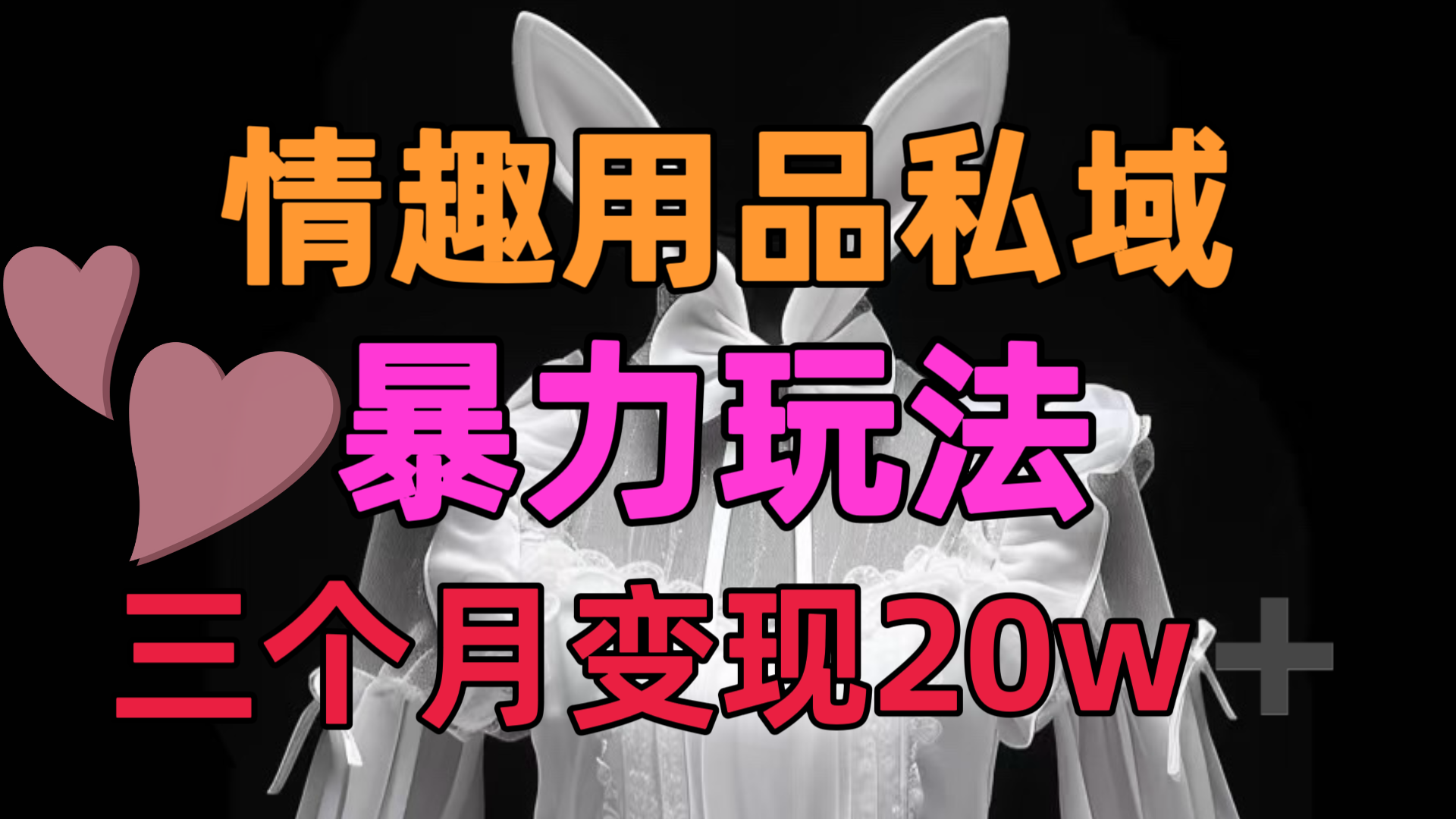 情趣用品私域，25年最新暴力玩法，三个月变现20w➕_云峰项目库
