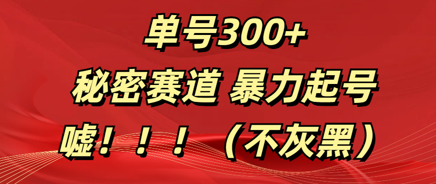 单号300+  秘密赛道 暴力起号  （不灰黑）_云峰项目库