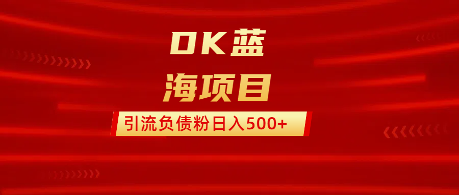 DK蓝海项目  通过，抖音，快手，小红书，引流负债粉日入500+_云峰项目库