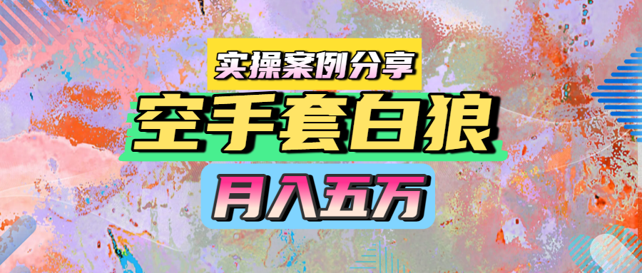 空手套白狼，月入五万，实操案例分享_云峰项目库