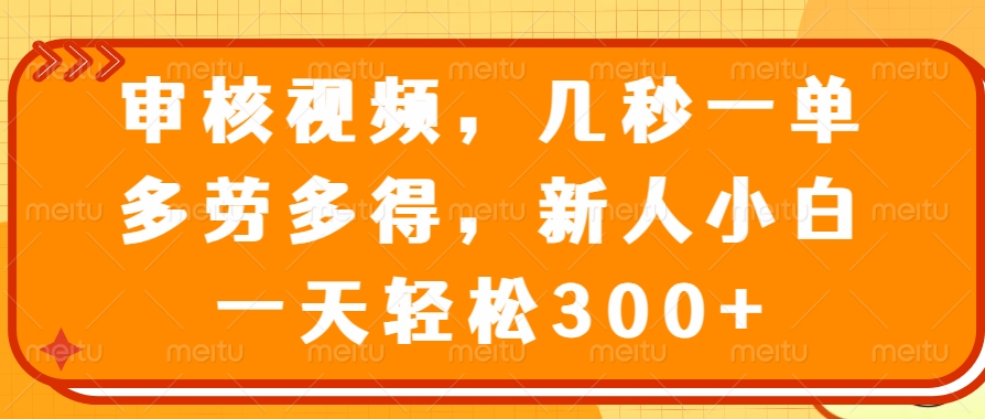 视频审核员，几秒一单，多劳多得，新人小白一天轻松300+_云峰项目库