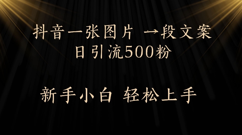 抖音一张图片，一段文案日引流500粉，新手小白 轻松上手_云峰项目库